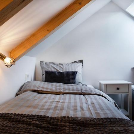 Bright & Spacious Loft In The Heart Of Old Town Lubiana Esterno foto
